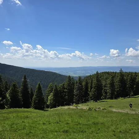 Czarna Gora Bormio 25 아파트 *